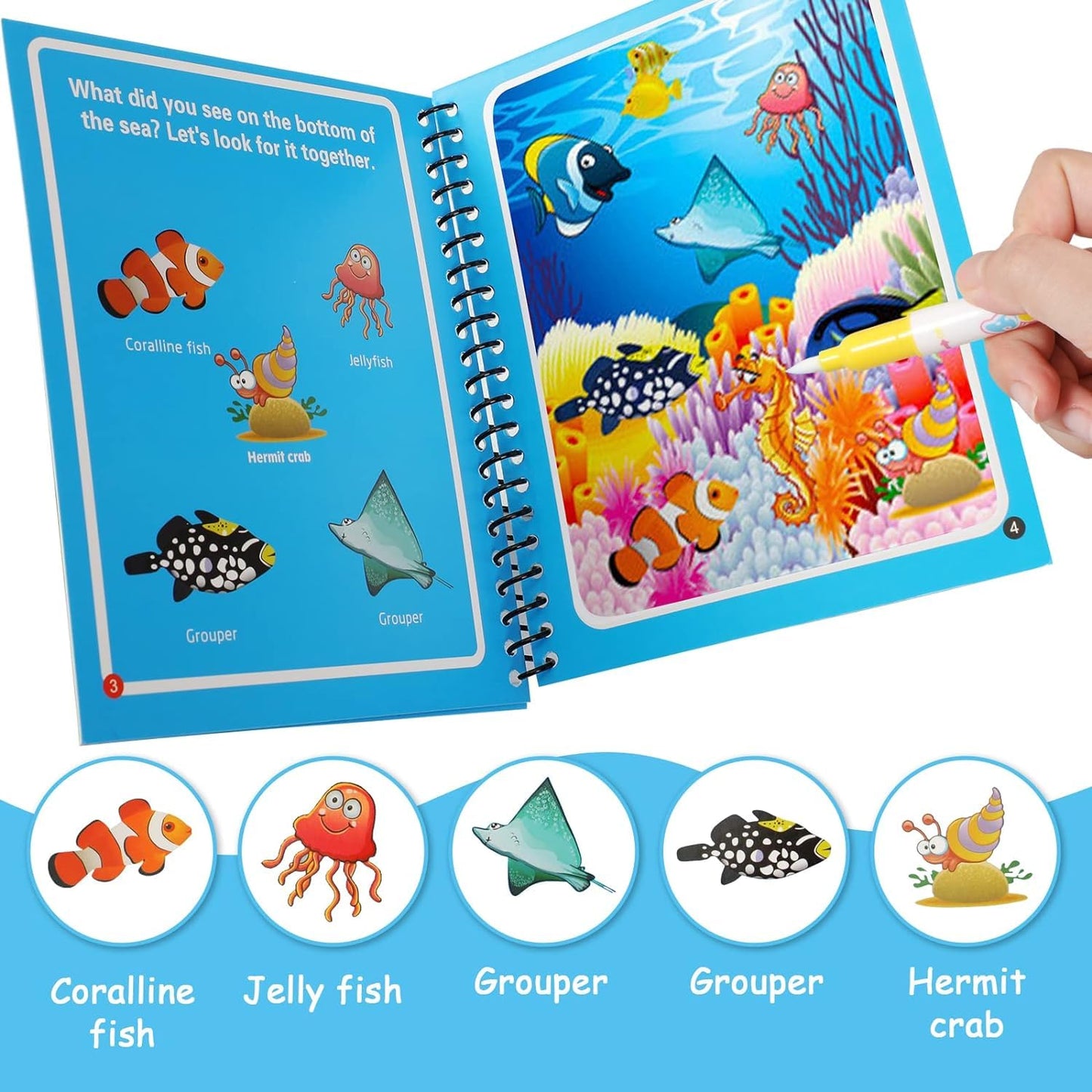 MAGIC WATER BOOK: ENDLESS FUN! (PACK OF 4)